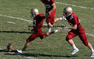 欧博官网-博尼费斯长期缺阵状态成疑，教练要求恐难达成